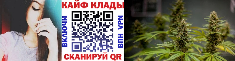 Где купить наркоту Дмитров Бутират  Псилоцибиновые грибы  Cocaine  Гашиш  Амфетамин  Кетамин  A PVP 