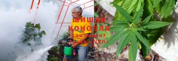 синтетический гашиш Богданович