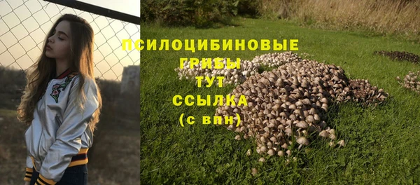 каннабис Богородицк