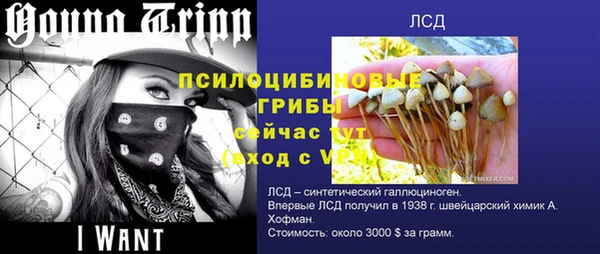 каннабис Богородицк