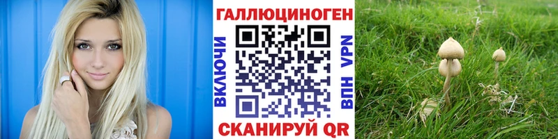 как найти   Дмитров  Псилоцибиновые грибы мицелий 
